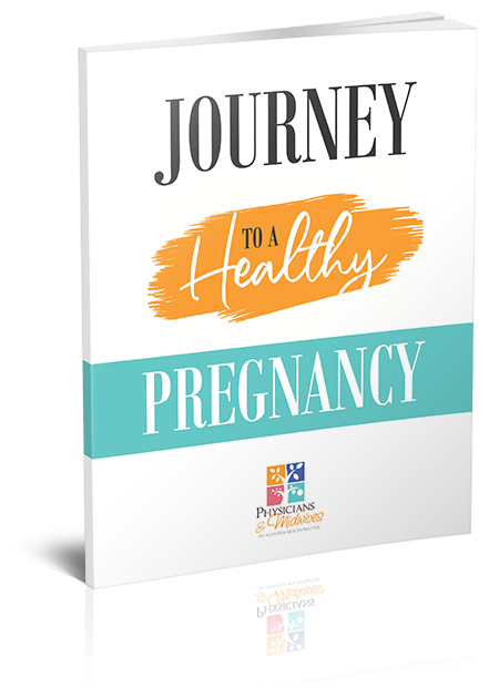 Journey to a Healthy Pregnancy book cover